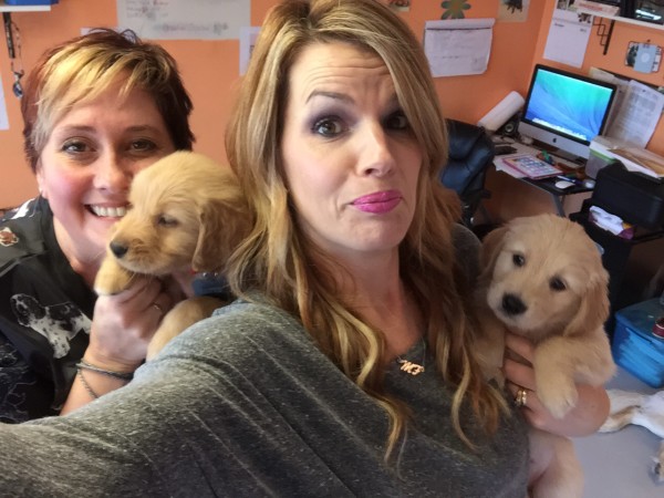 Who Let the Puppies Out?