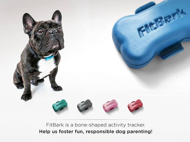 fitbark_passkitblog