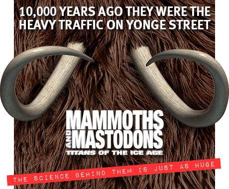 MAMMOTHS & MASTODONS INVADE TORONTO