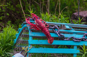 How Do You Get A Ticket To Lakefield Lobster Fest