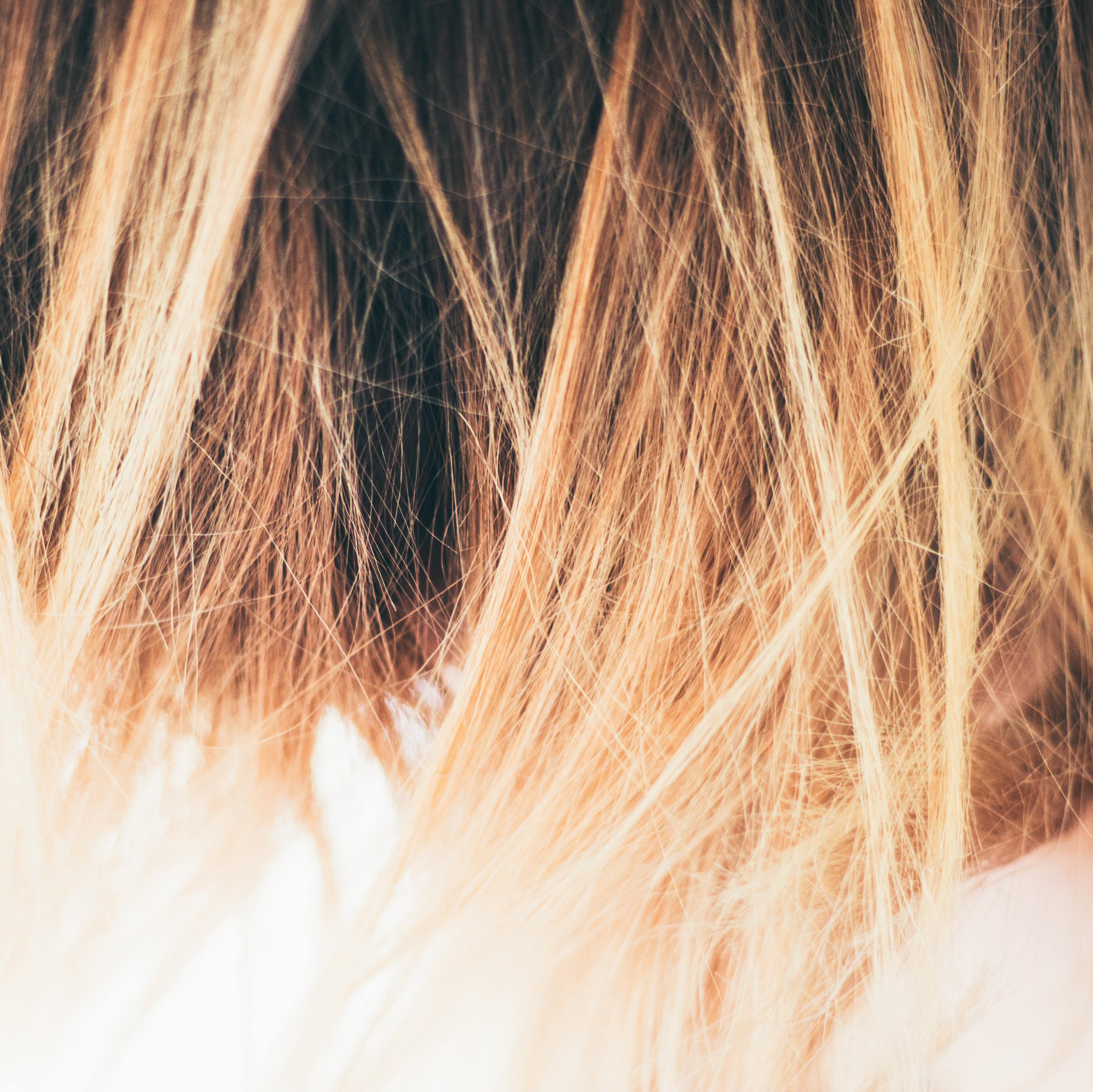 Back To School: How Not To Get LICE This Year