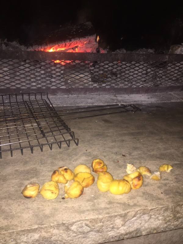 Roasting Chestnuts on an Open Fire: Honestly