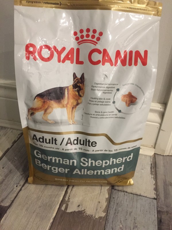 What Does A Three-Legged Dog Eat?