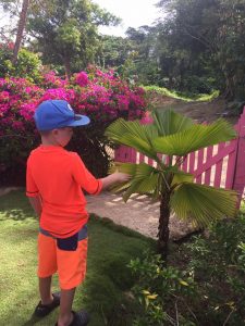 Snapshots From Punta Cana!