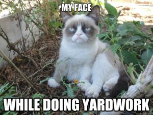 People Who Enjoy Yard Work Are Not My People