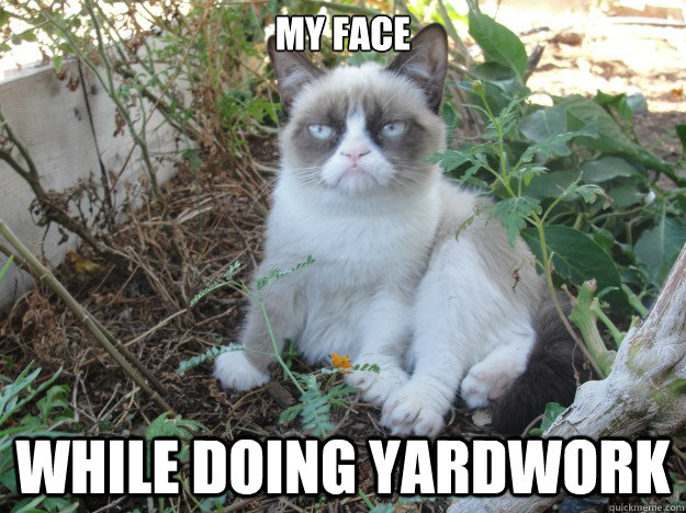 People Who Enjoy Yard Work Are Not My People