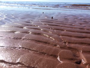 Whenever You Feel Overwhelmed Or Hopeless Watch This 