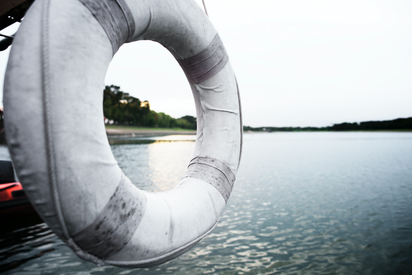 Just keep swimming | Michelle Ferreri