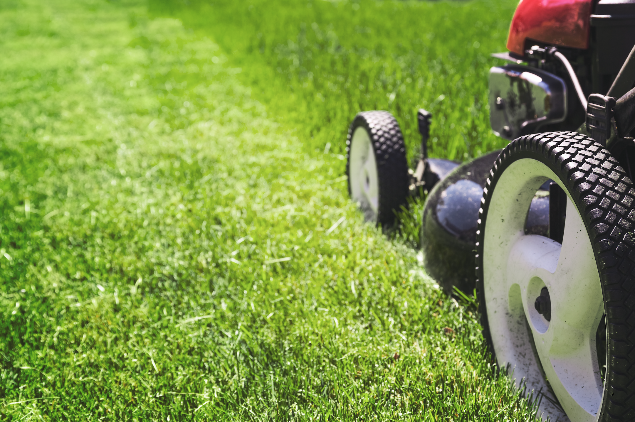 How To Get A Beautiful Lawn