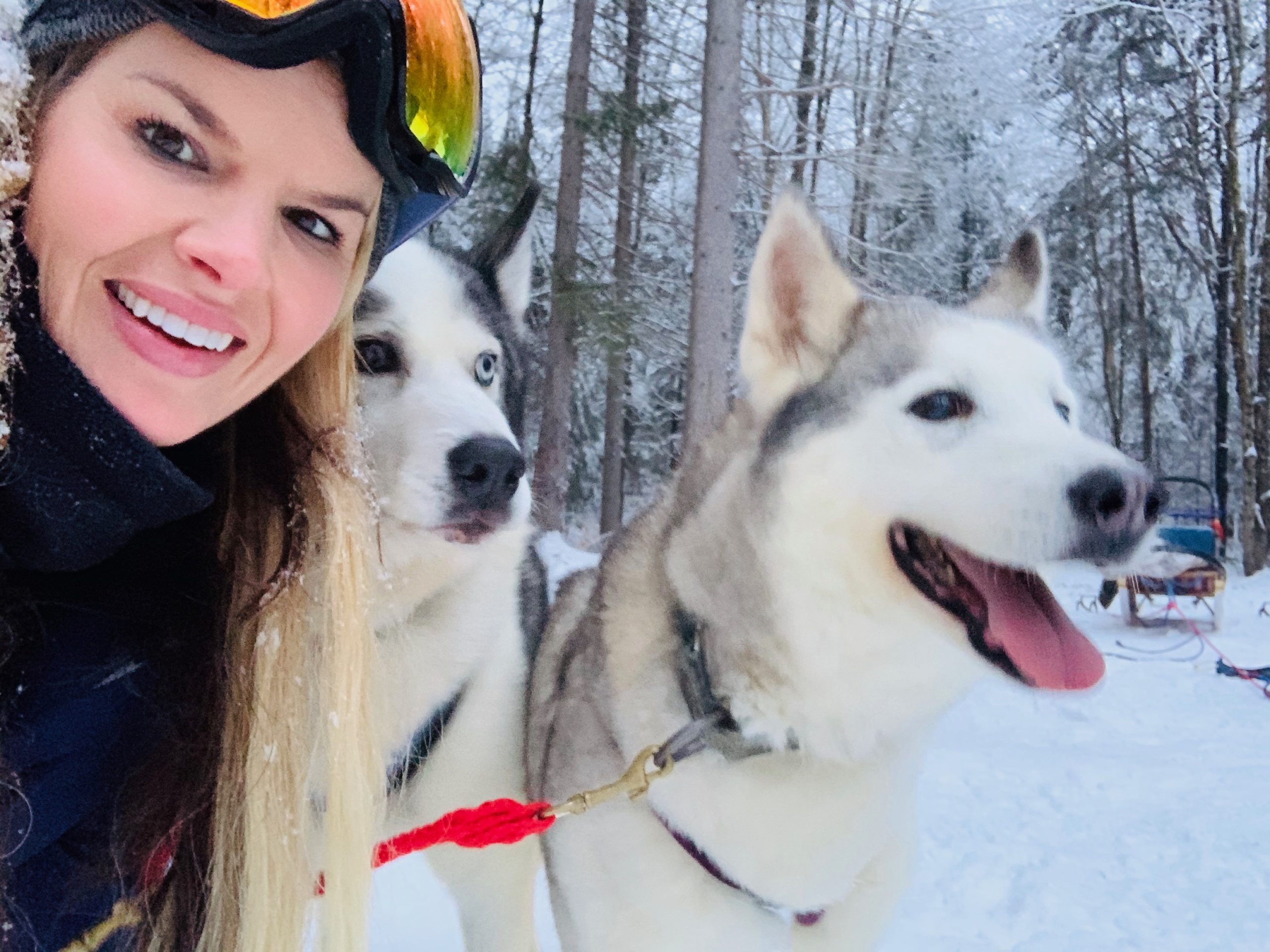 An Experience Of A Lifetime with Winterdance Dogsled Tours!