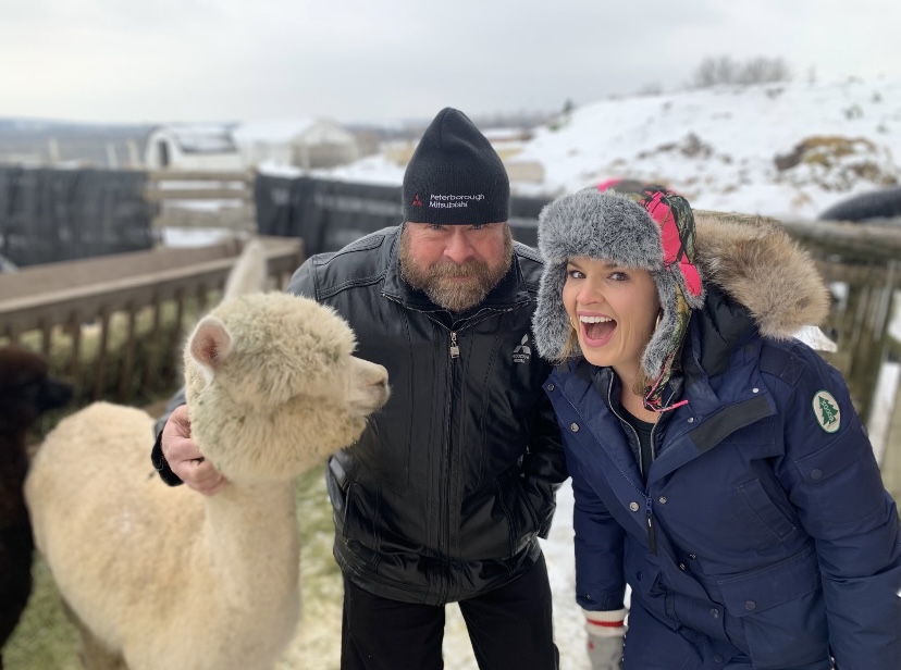 Why Are Alpacas So Incredible?